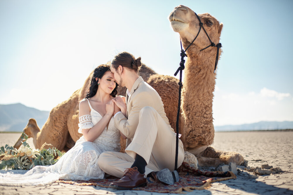 pictorial with camel