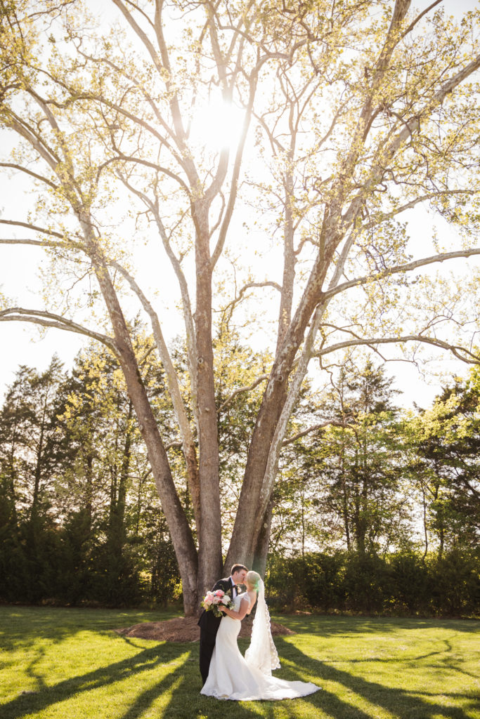 bride and groom kissing in front of beautiful tree on wedding day